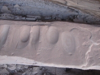 Metate with petroglyph